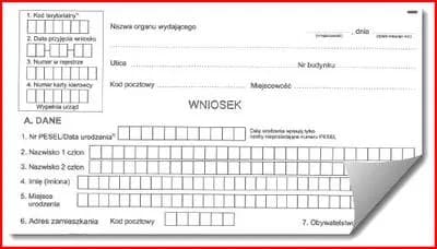 Jak wygląda profil kierowcy i co musisz o nim wiedzieć?