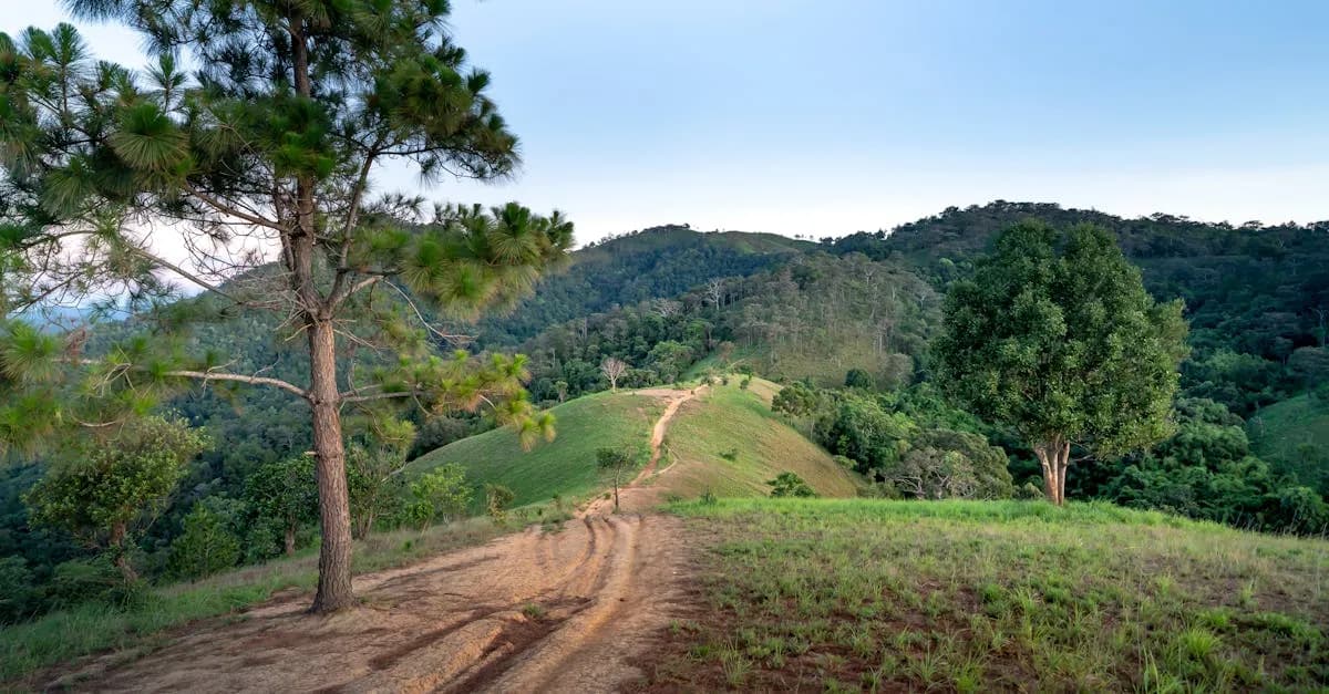 Najlepsze trasy motocyklowe w Rumunii – Przewodnik dla pasjonatów